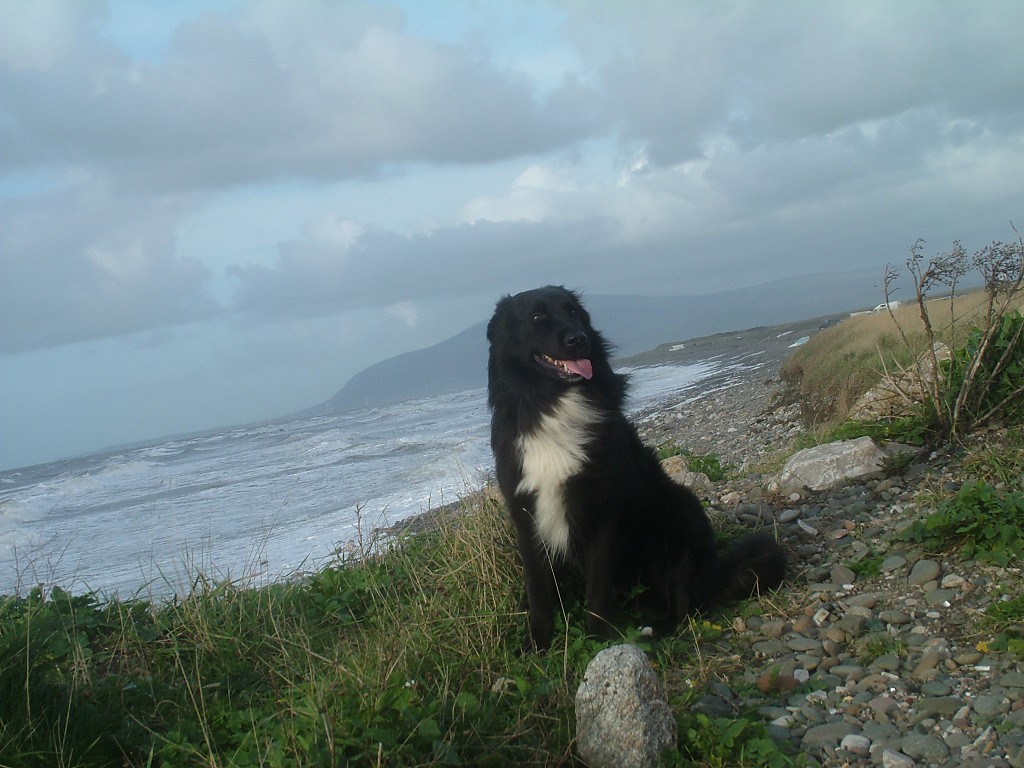 Click now to see this image full size.