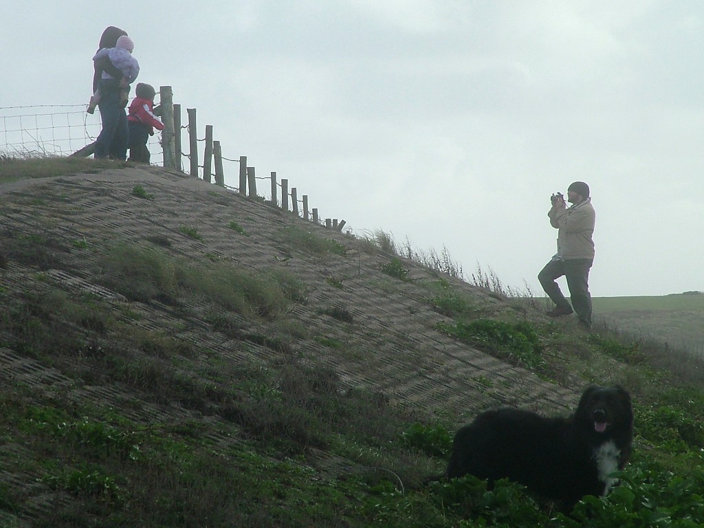 Click now to see this image full size.