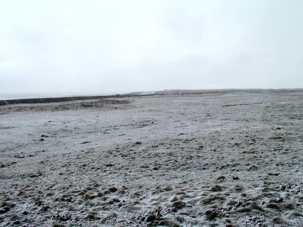 Click now to see this image full size.