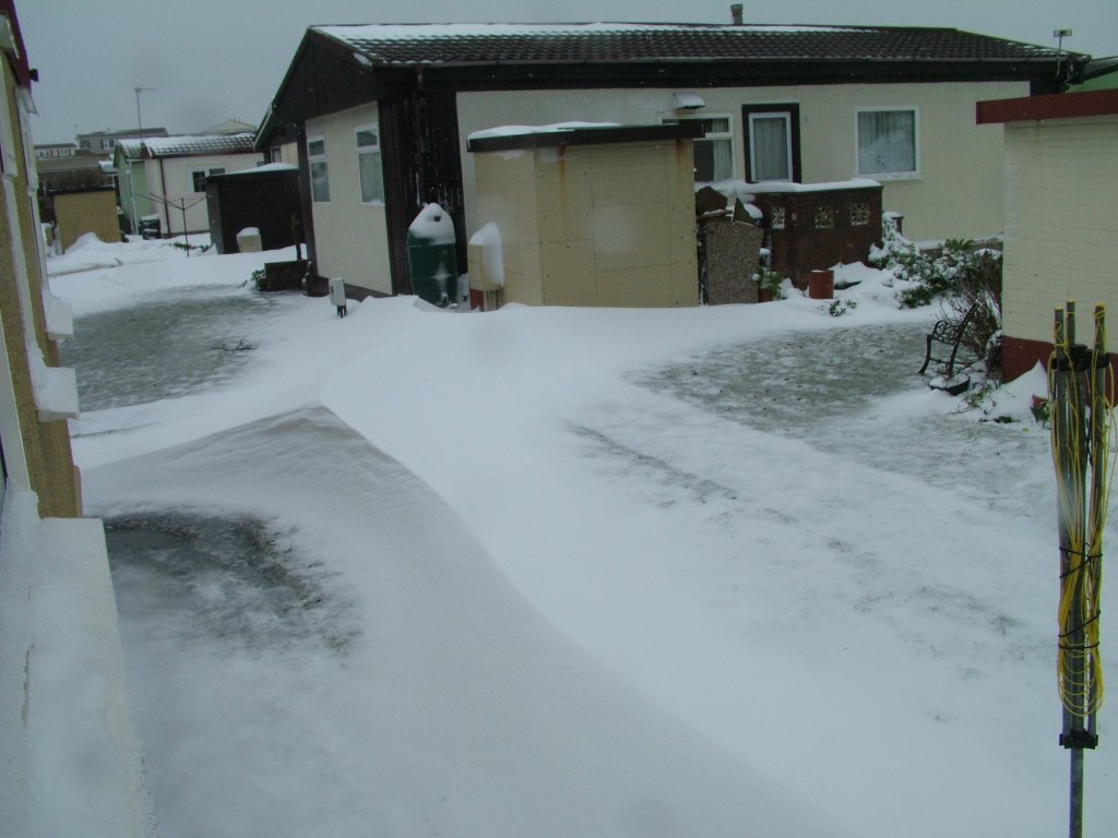 Click now to see this image full size.