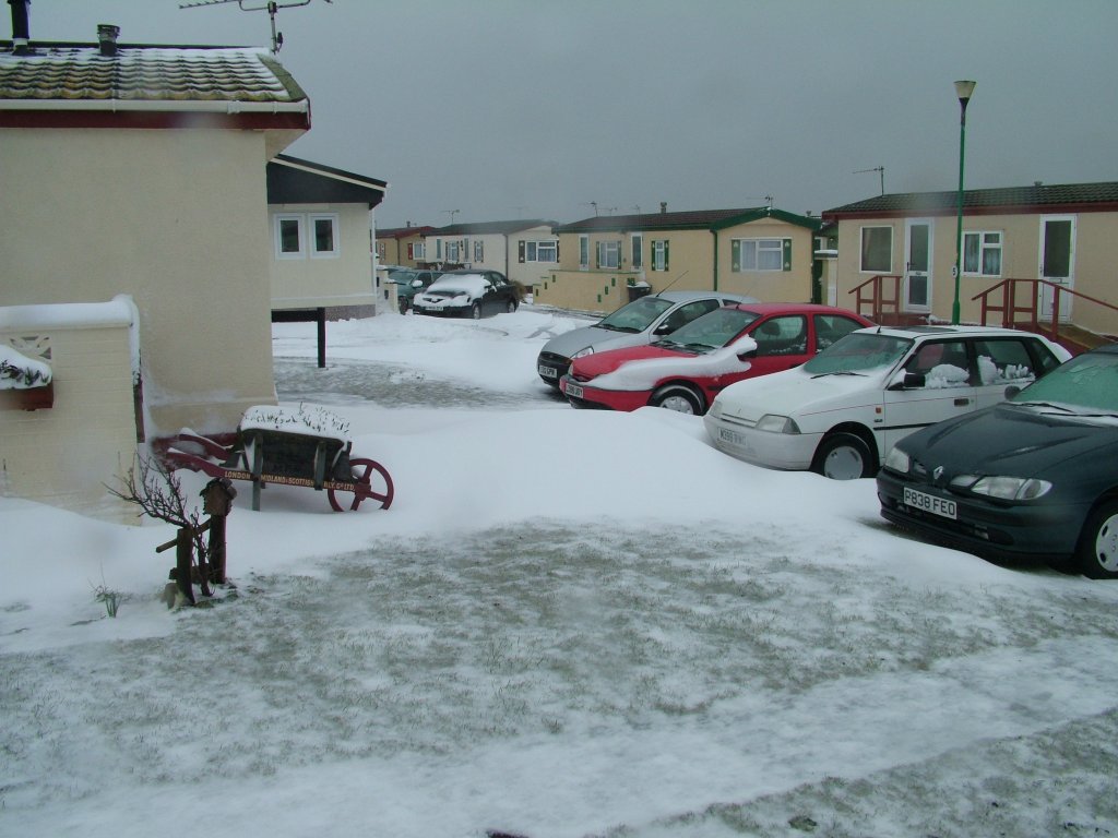 Click now to see this image full size.