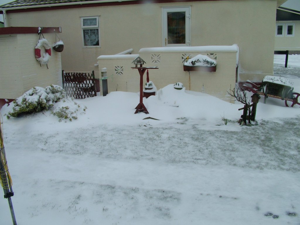 Click now to see this image full size.