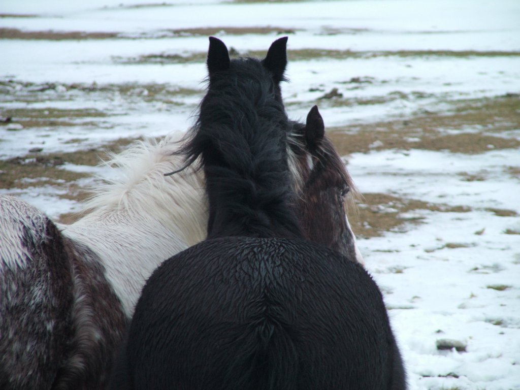 Click now to see this image full size.