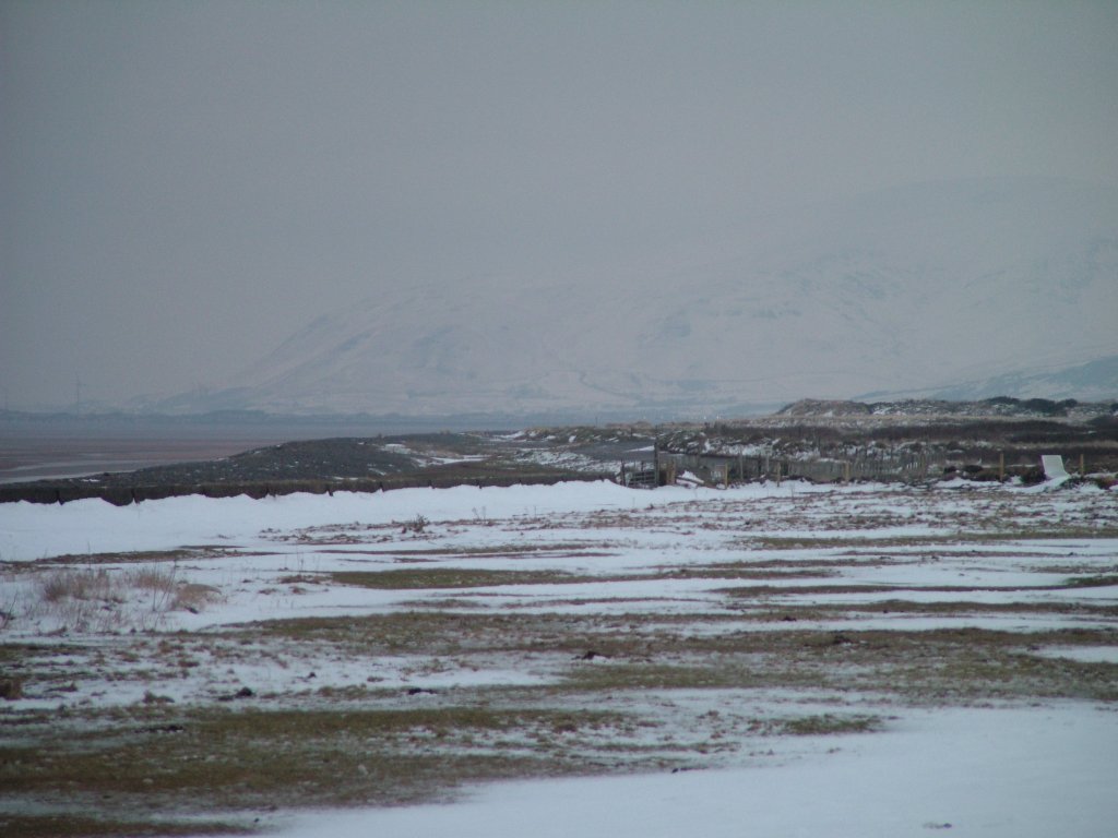 Click now to see this image full size.