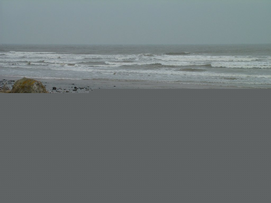 Click now to see this image full size.