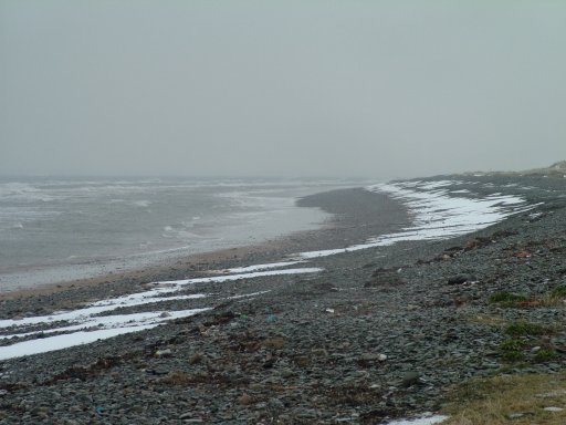 Click now to see this image full size.