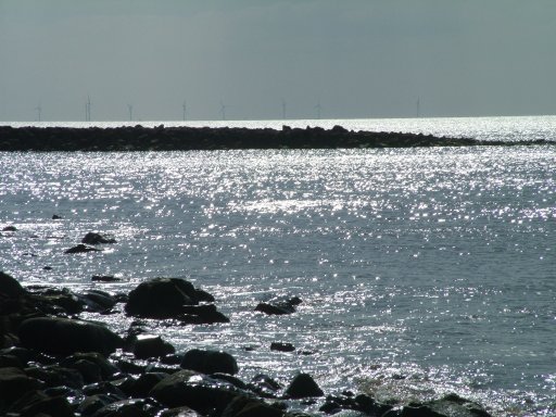 Click now to see this image full size.