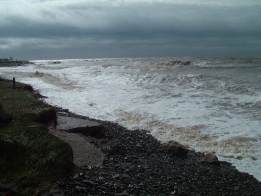 Click now to see this image full size.