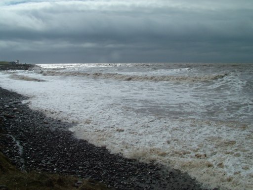 Click now to see this image full size.