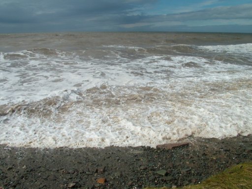 Click now to see this image full size.