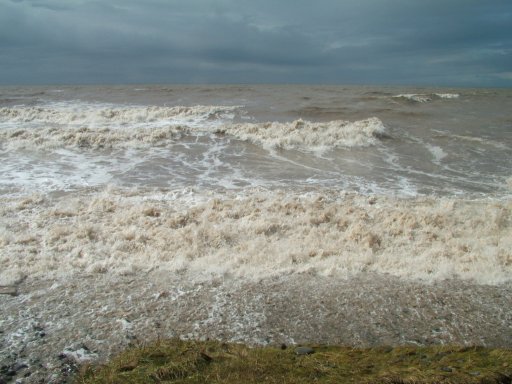 Click now to see this image full size.