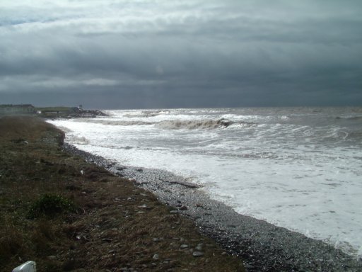 Click now to see this image full size.