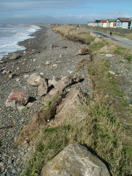 Click now to see this image full size.