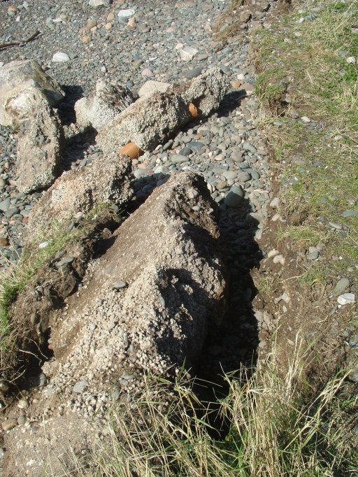 Click now to see this image full size.