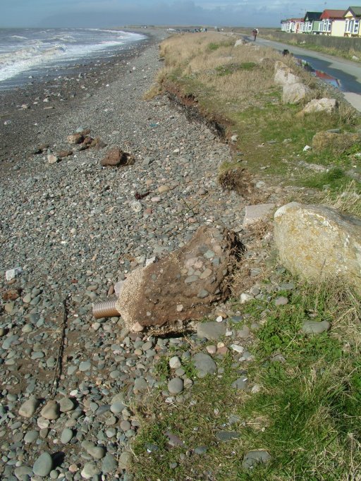 Click now to see this image full size.