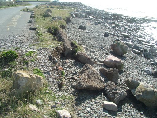 Click now to see this image full size.