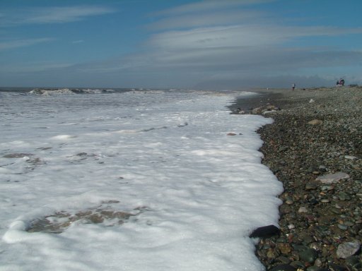 Click now to see this image full size.