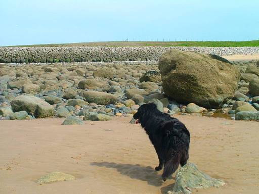 Click now to see this image full size.