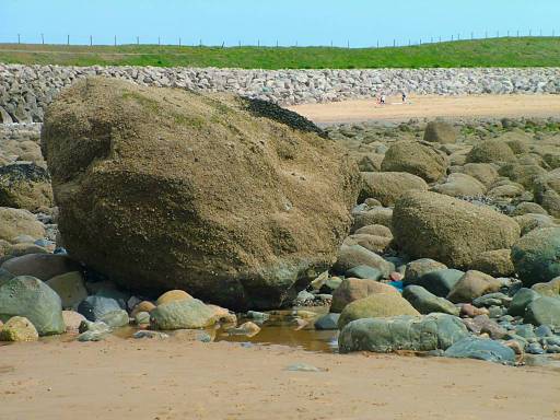 Click now to see this image full size.