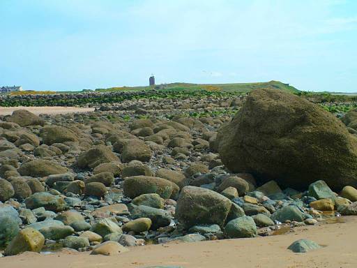 Click now to see this image full size.