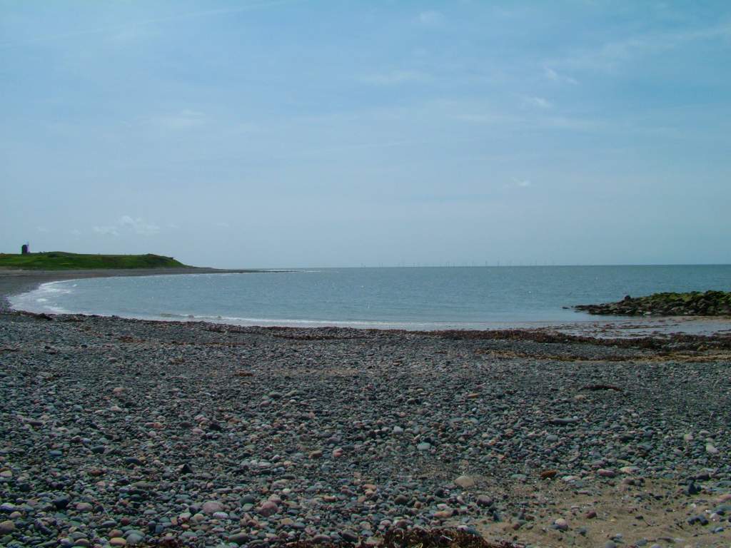 Click now to see this image full size.