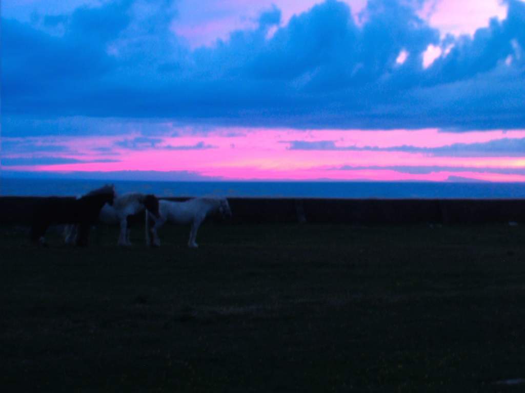 Click now to see this image full size.