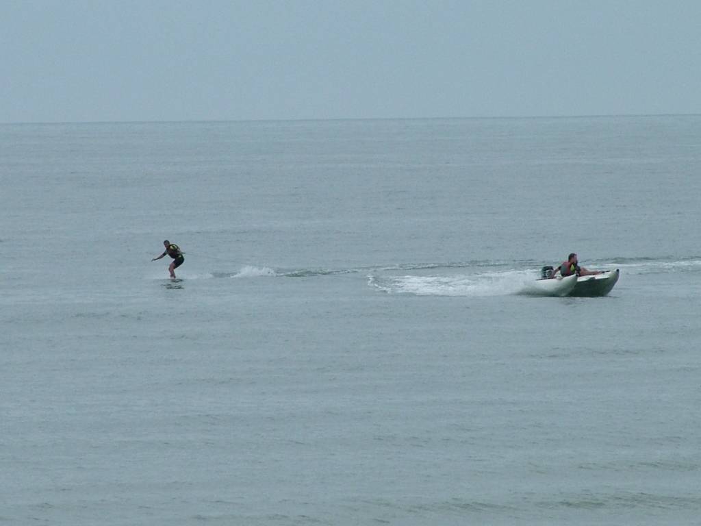 Click now to see this image full size.