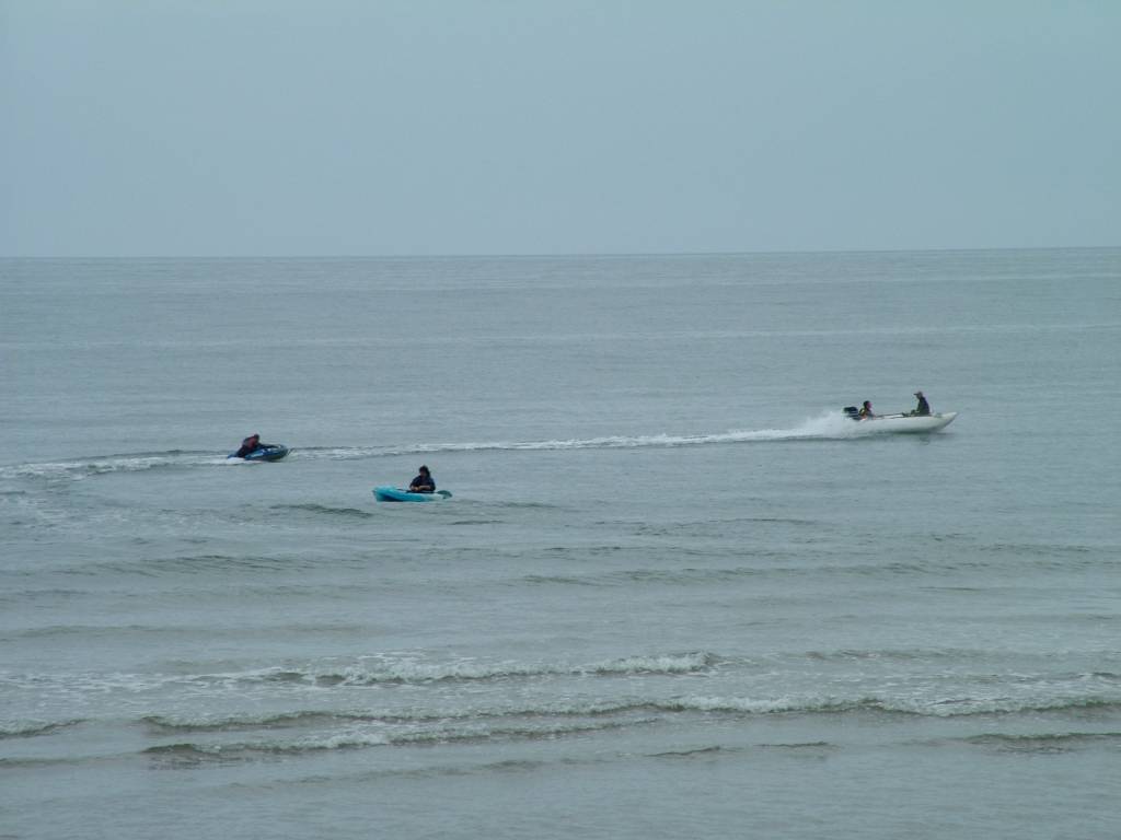 Click now to see this image full size.