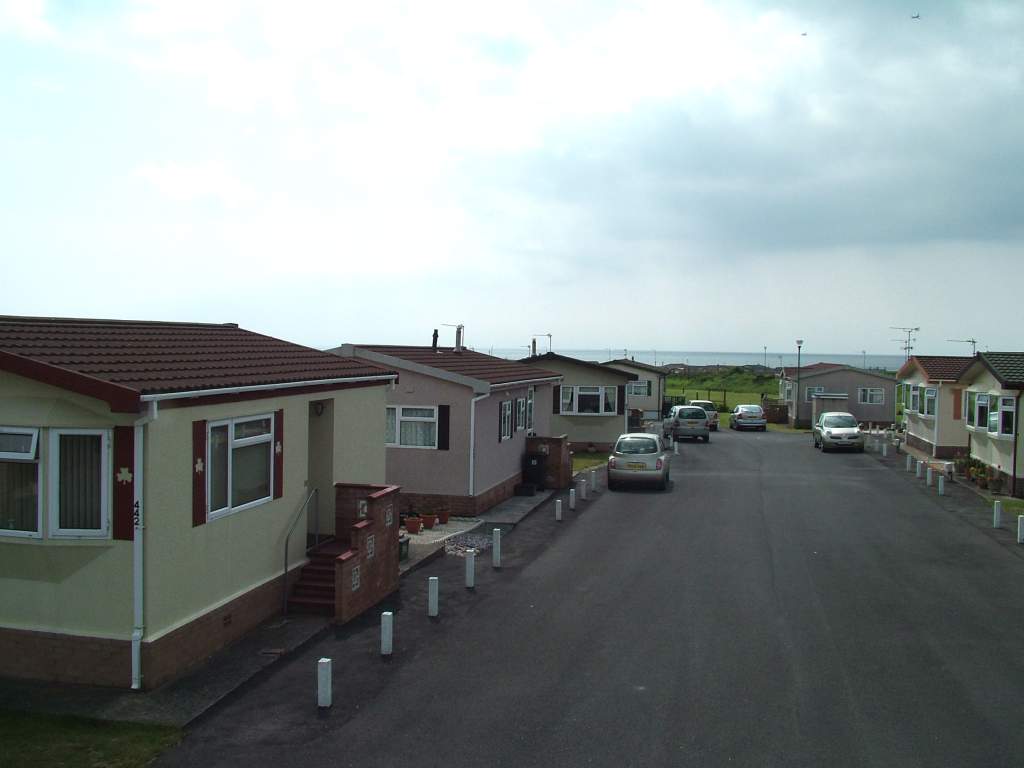 Click now to see this image full size.