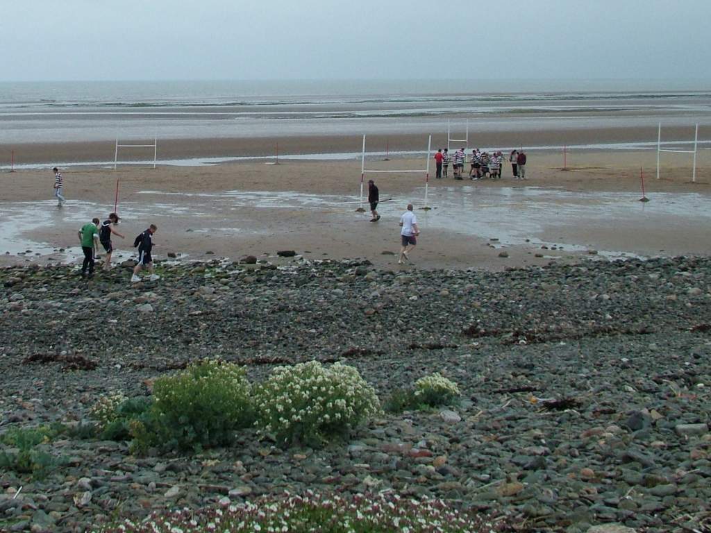 Click now to see this image full size.