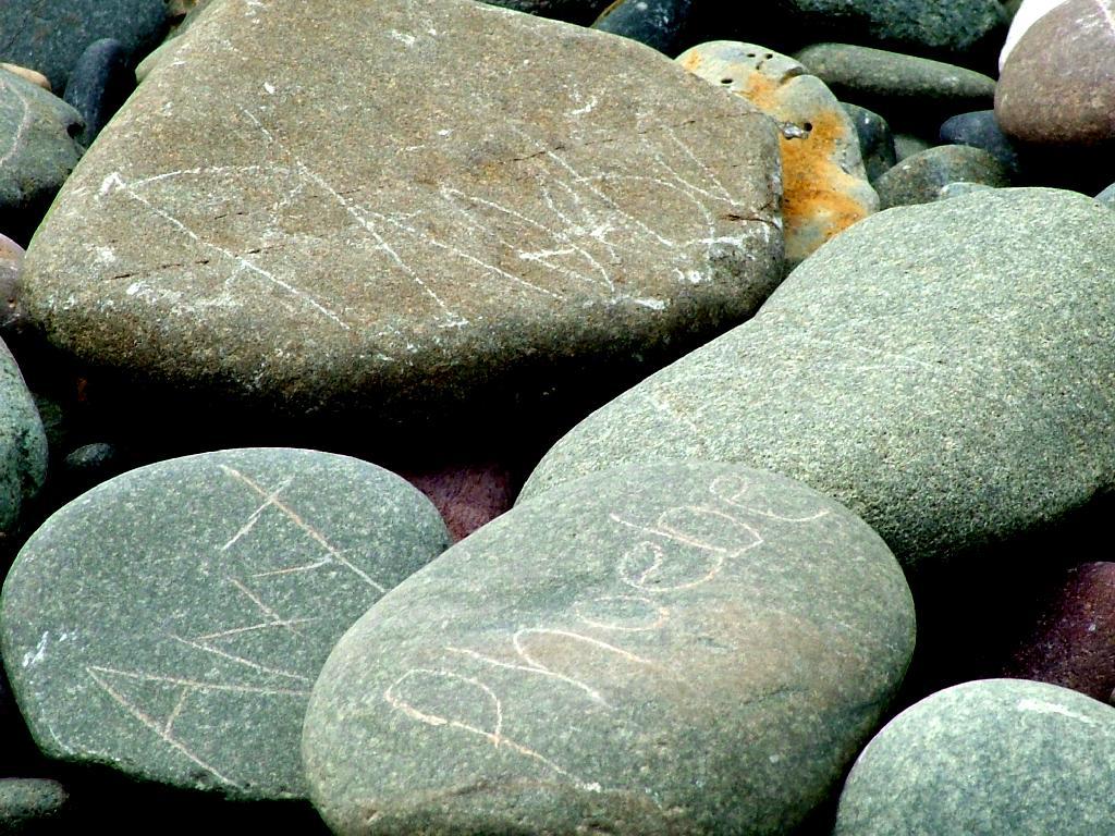 Click now to see this image full size.