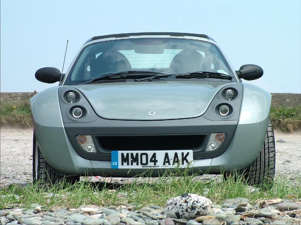 Click now to see this image full size.