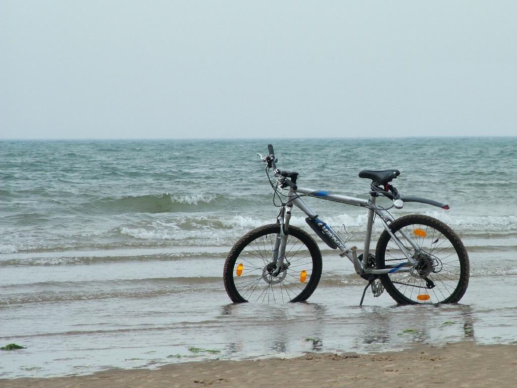 Click now to see this image full size.