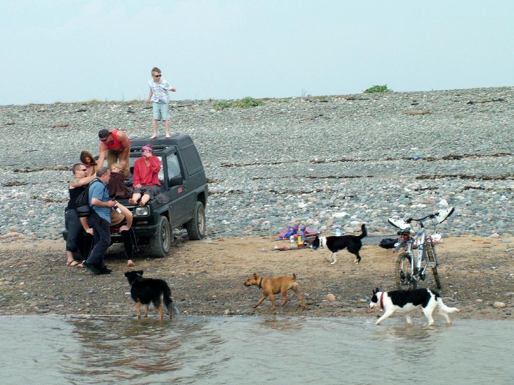 Click now to see this image full size.