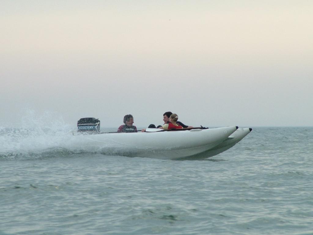 Click now to see this image full size.