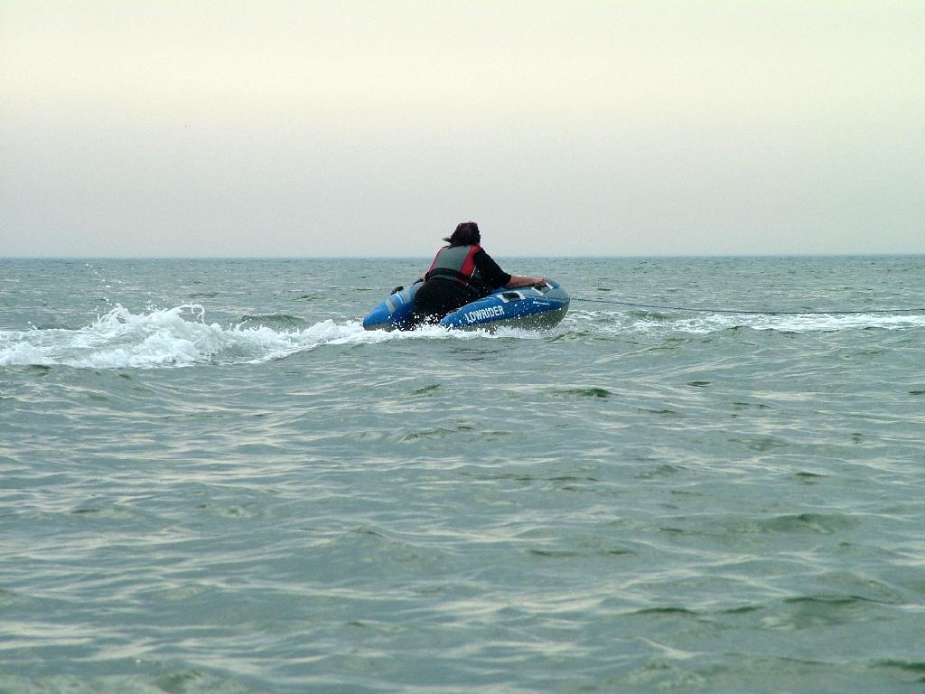 Click now to see this image full size.