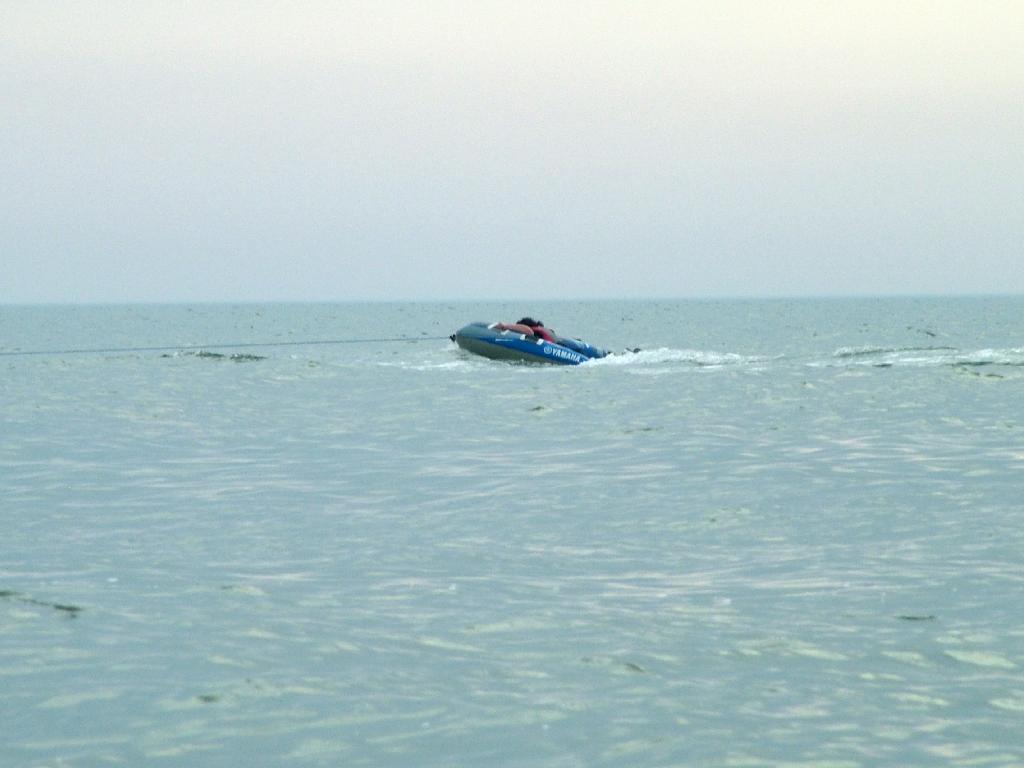 Click now to see this image full size.