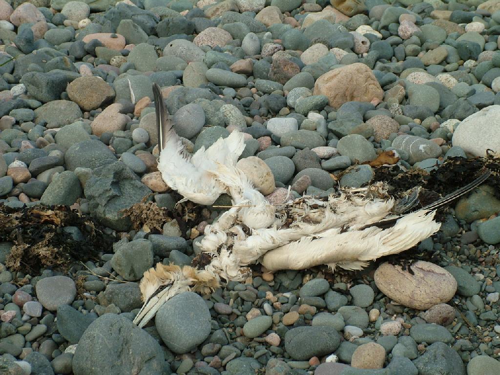 Click now to see this image full size.