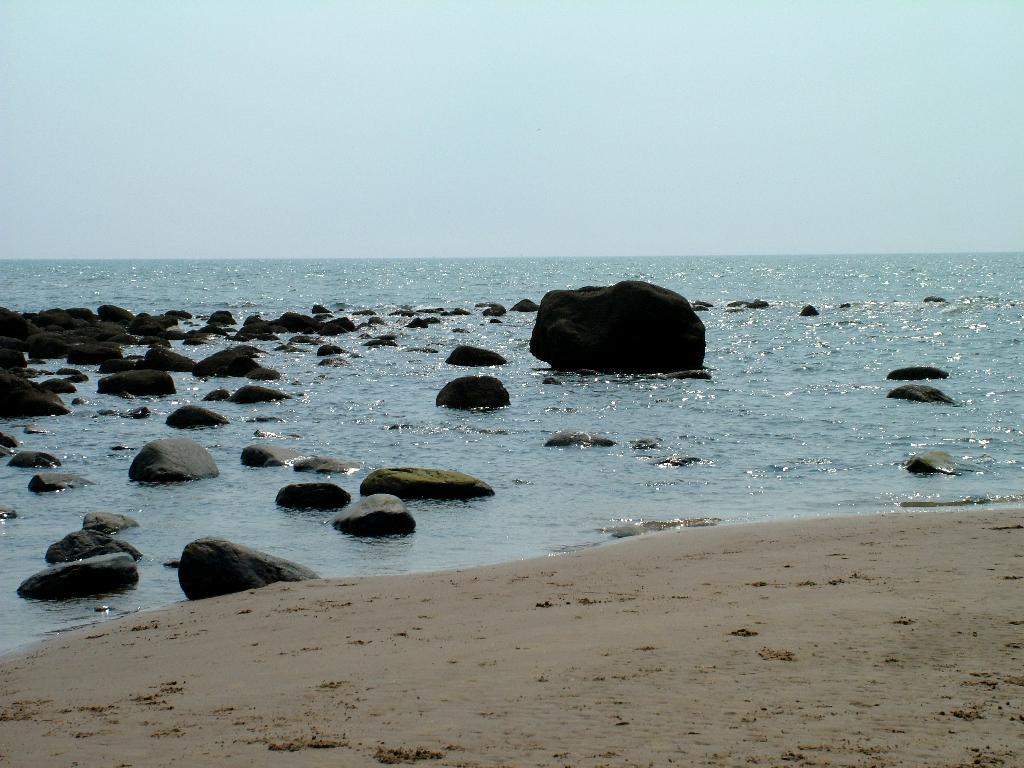 Click now to see this image full size.