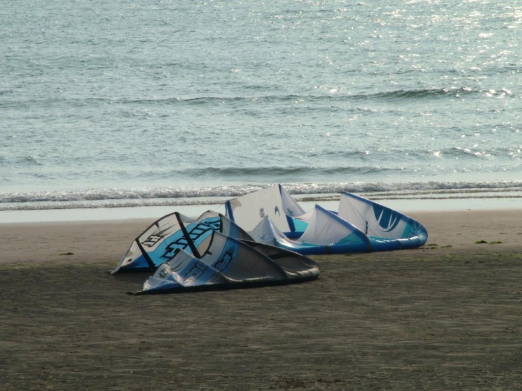 Click now to see this image full size.