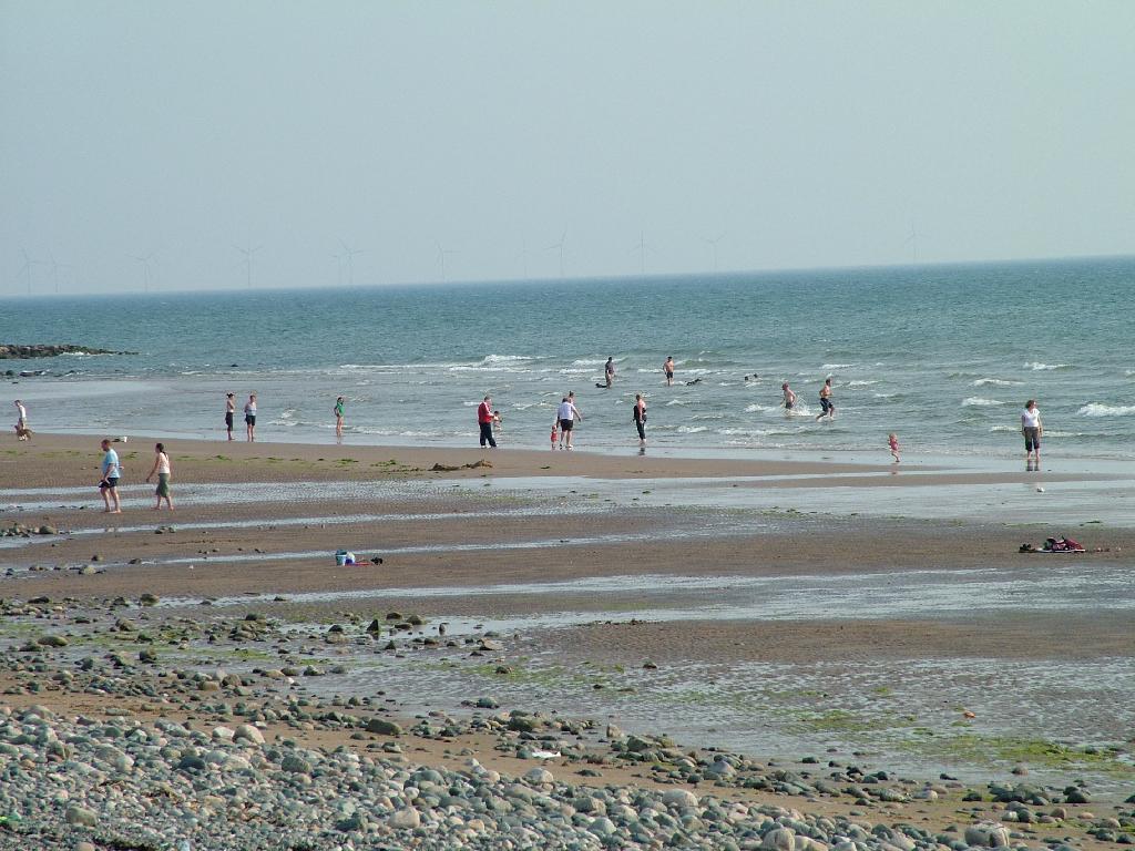 Click now to see this image full size.