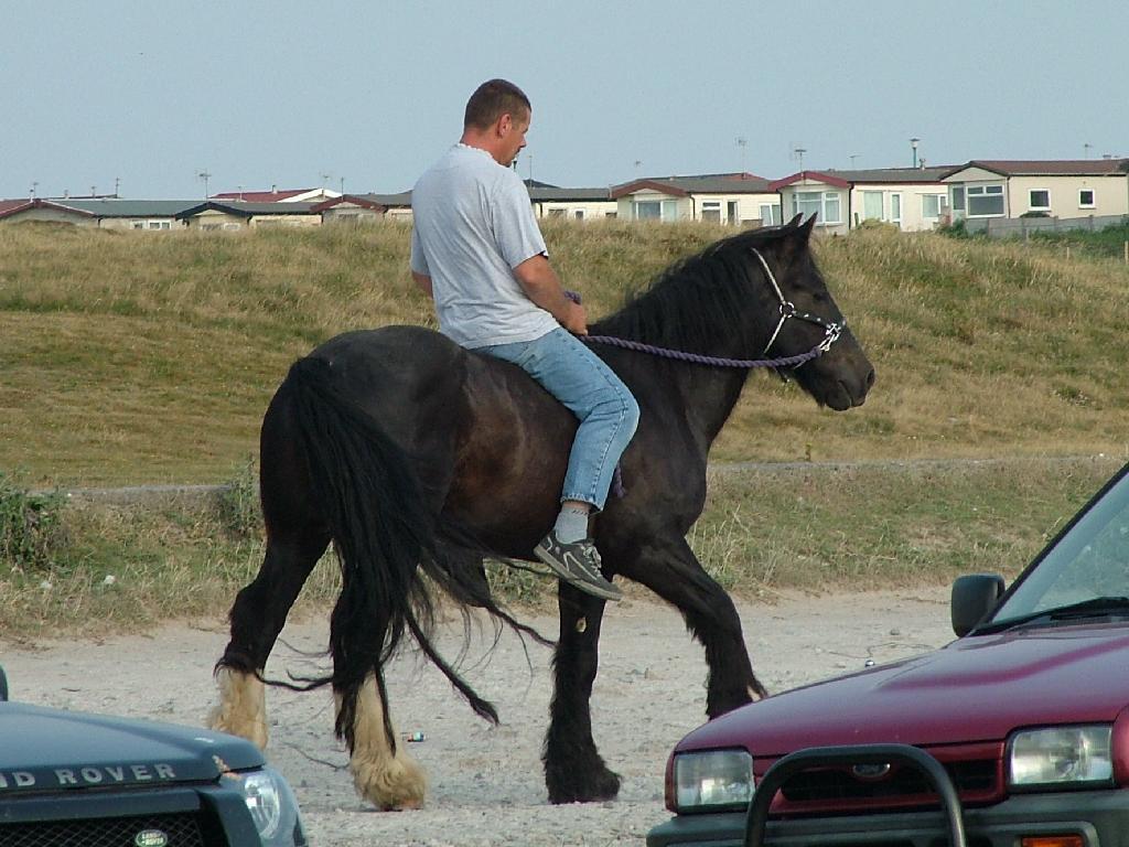 Click now to see this image full size.