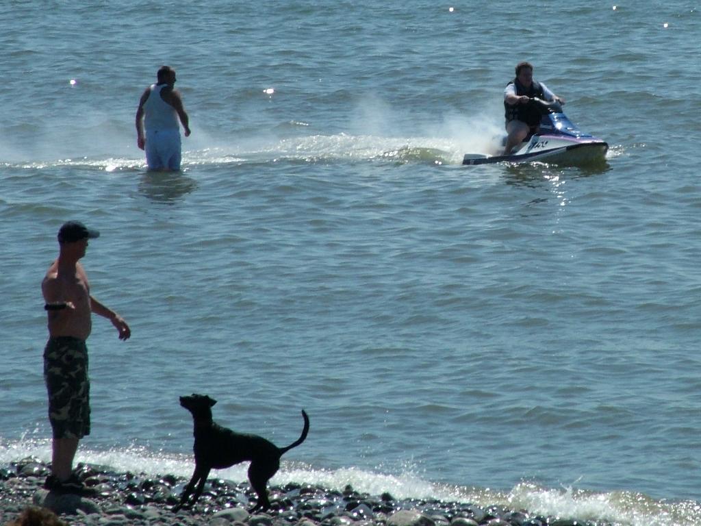 Click now to see this image full size.