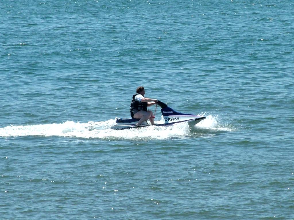 Click now to see this image full size.