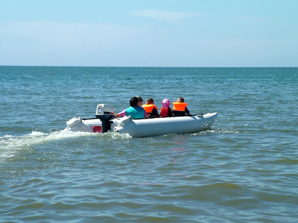 Click now to see this image full size.