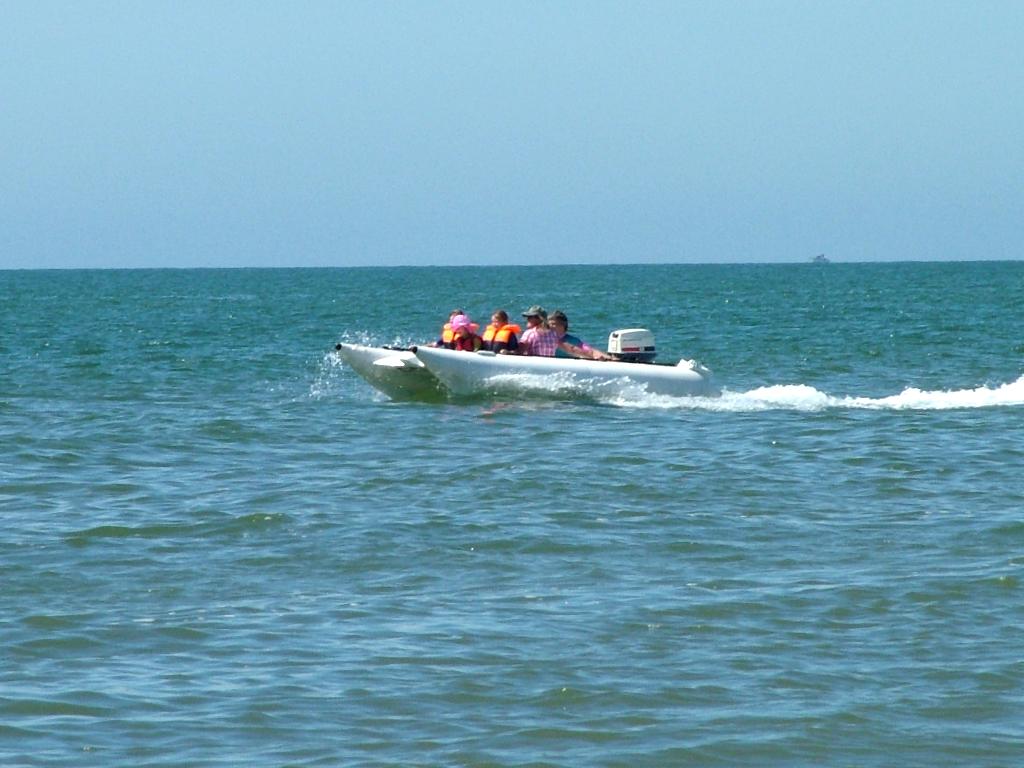 Click now to see this image full size.