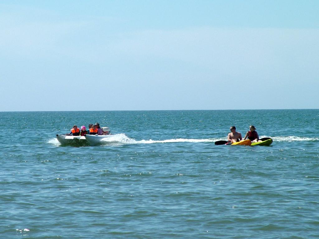 Click now to see this image full size.