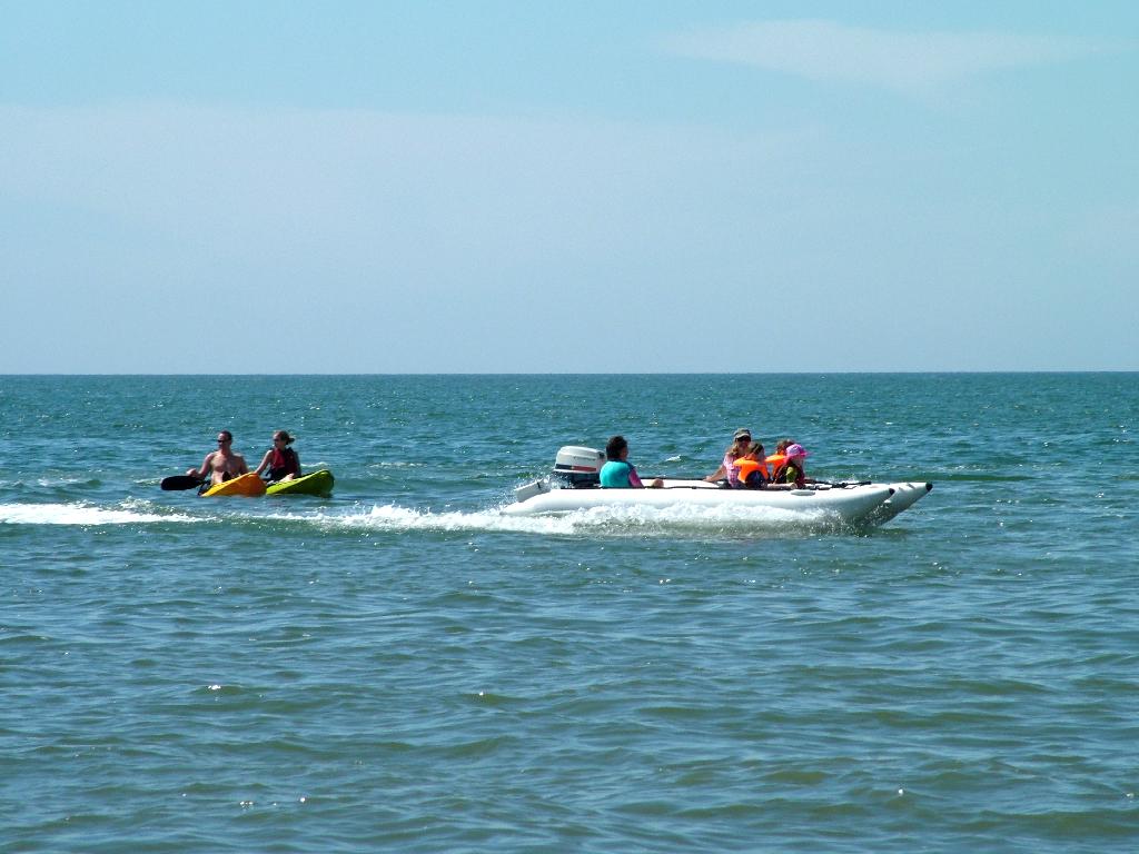 Click now to see this image full size.