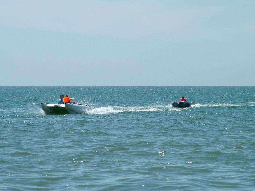 Click now to see this image full size.