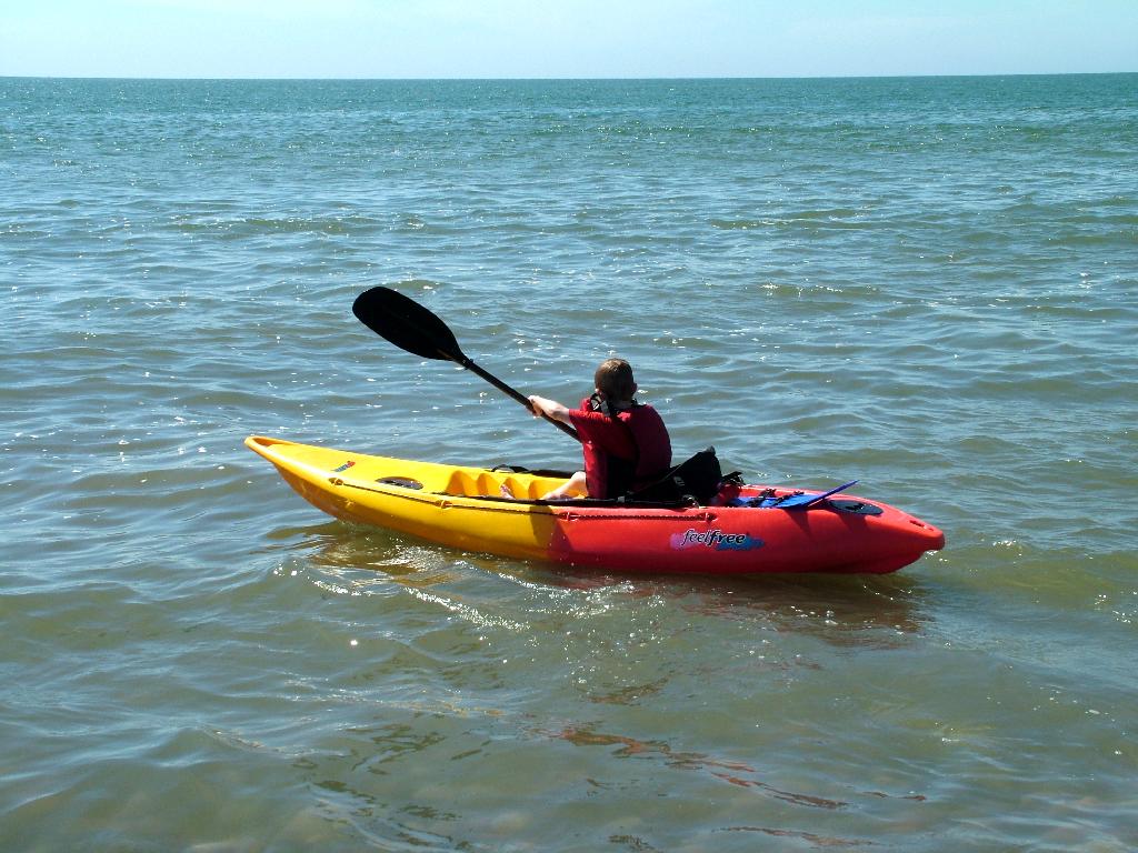 Click now to see this image full size.